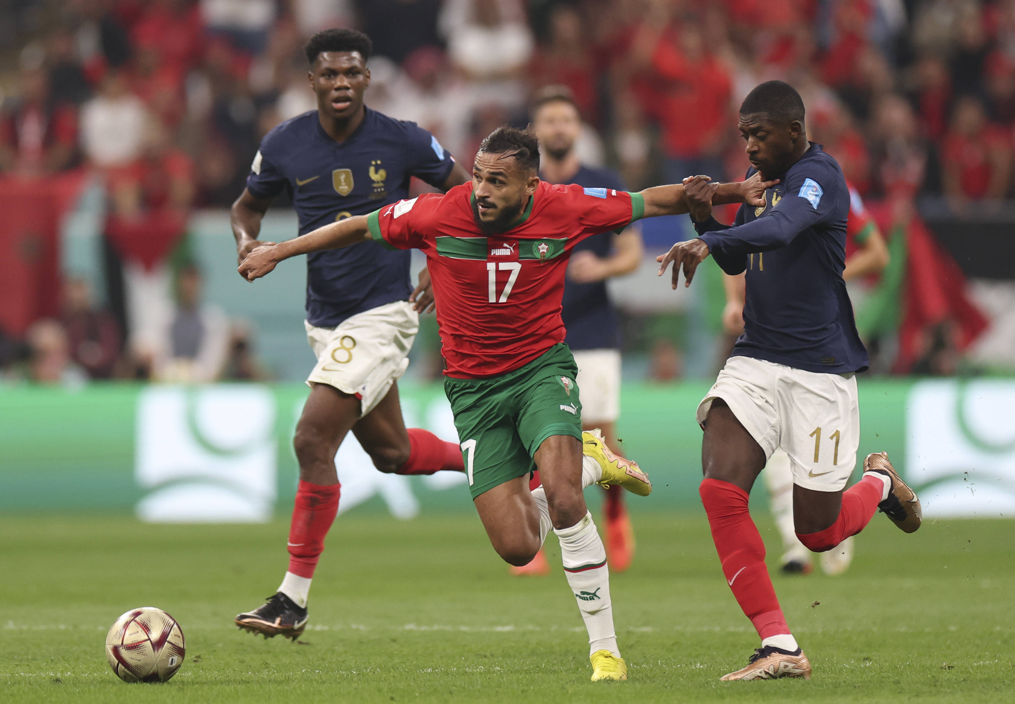 展现出对于 展现出对于