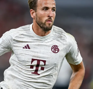 德甲中的统 德甲中的统