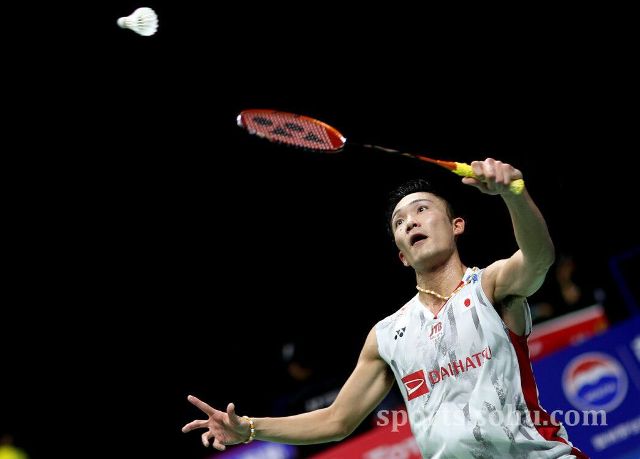 最抓眼球的 最抓眼球的